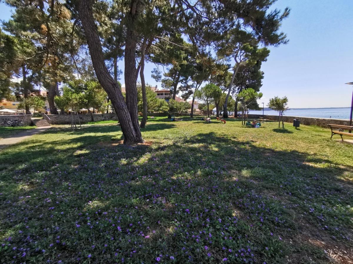 Stella Deluxe Superior 5 Star Apartment, Your Piece Of Heaven By The Sea & Park, With Sea View Novigrad Istria Dış mekan fotoğraf